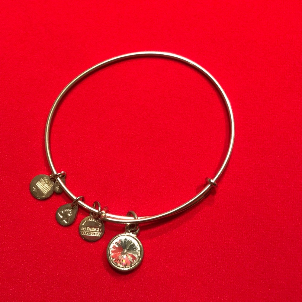 Alex and Ani Clear Crystal Charm Bracelet